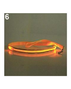 picture (Bluelans Pet Dog Puppy LED Flashing Glowing Night Safety Light Nylon Lead Leash Rope (Orange