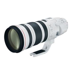 picture Canon EF 200-400mm f/4L IS USM lens