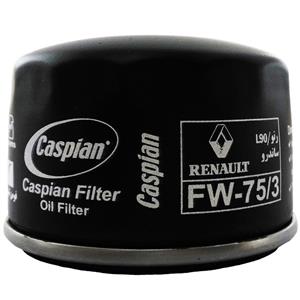 picture فیلتر روغن خودروی کاسپین مدل FW-75/3 مناسب برای رنو L90