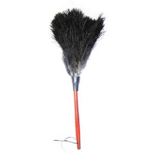 picture گردگیر آلین مدل Ostrich Feather 4