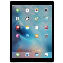 picture Apple iPad Pro  WiFi Tablet - 256GB