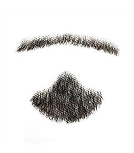 picture ریش و سبیل مصنوعی مای سکرت مدل MY-secret Human Hair Beard  Mustache D