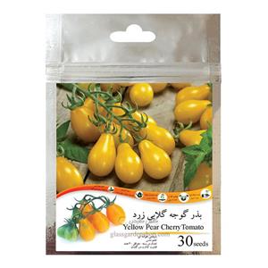 picture بذر گوجه گلابی زرد مدل GL30