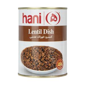 picture Hani Lentil Dish Canned 380 gr