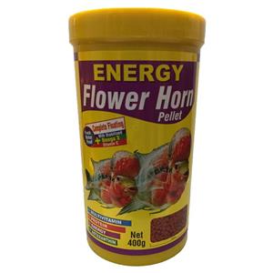 غذا ماهی انرژی مدل Flower Horn pellet حجم 1000 میلی لیتر 