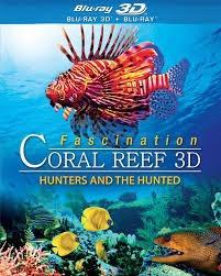 picture فیلم مستند جذاب صخرهای مرجانی شکارچیان و شکارFascination Coral Reef: Hunters and the
