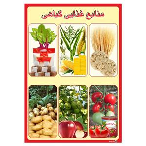 picture پوستر آموزشی چاپ پارسیان طرح منابع غذایی گیاهی کد 007