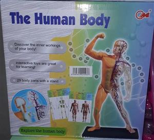 picture لگو طرح مولاژ آناتومی بدن مدل The Human Body