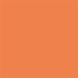 picture فون کاغذی Savage Widetone Seamless #24 Orange