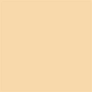 picture فون کاغذی Savage Widetone Seamless #25 Beige
