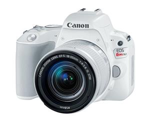 picture Canon EOS Rebel SL2 DSLR Camera with EF-S 18-55mm STM Lens - WiFi Enabled, White