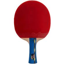 picture Friendship 5 Star Ping Pong Racket