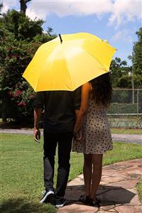 picture Yellow Umbrella with