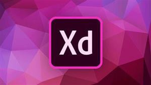 picture Udemy Adobe XD Course