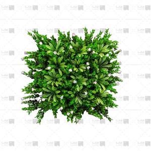 picture دیوار سبز مصنوعی مدل پونه - آناناسی ابعاد 25*25