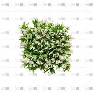 picture دیوار سبز مصنوعی مدل آناناسی 50 برگ رنگ سبز و سفید ابعاد 25*25