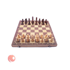 picture شطرنج Zhitu  مدل مغناطیسی