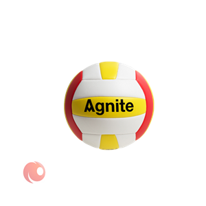 picture توپ والیبال Agnite مدل F1253