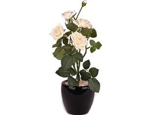 picture گل مصنوعی رز لمسی با گلدان مدل 14027