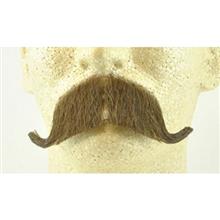 picture سبیل مصنوعی مدل Colonel Major or Constable Moustache no. 2014