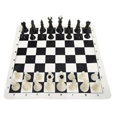 picture Aidin Federation Chess Type 4