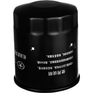 picture 1017110GG010 Oil Filter For JAC