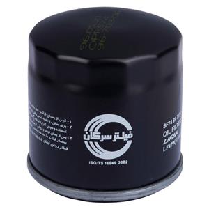 picture LF479Q1-1017100A Oil Filter For Lifan