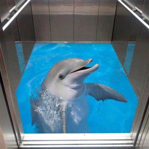 picture کفپوش سه بعدی آسانسور – دلفین