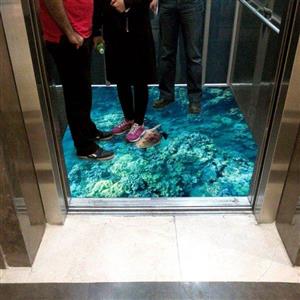 picture کفپوش سه بعدی آسانسور – مرجان