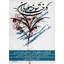 picture کتاب درخت سوخته در باران اثر ناصر حامدی