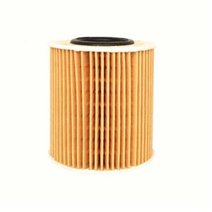 picture BMW N46 Engine Oil Filter