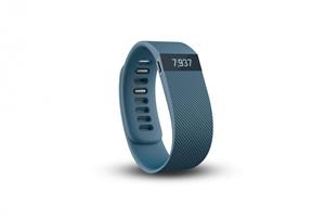 picture دستبند Fitbit Charge Wristband Salt- Small