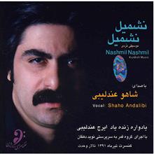 picture آلبوم موسیقی نشمیل نشمیل - شاهو عندلیبی