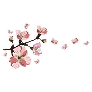 picture استیکر سالسو طرح شکوفه‌های گیلاس