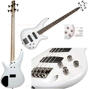 picture IBANEZ SR300PW