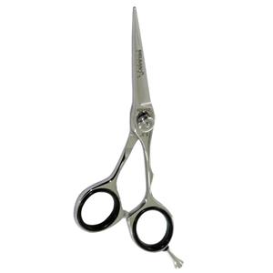 Delgan DS4520 Scissors 