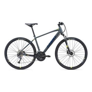picture   (Giant Roam 2 Disc Bicycle (2018