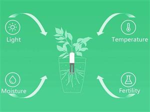 picture سنسور هوشمند کیفیت خاک شیائومی Xiaomi Herbal Plant Health Monitor