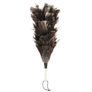 picture Mashhad Duster Ostrich2