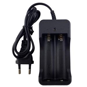 picture ZJ-3009 18650 Battery Charger