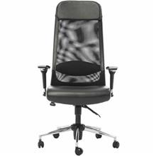 picture Rad System M345R1 Leather Chair