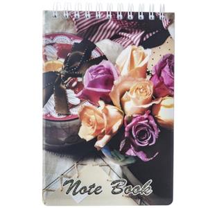 picture Papco NB-649 Notebook
