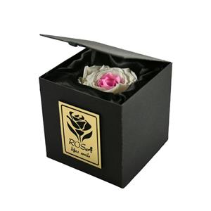 picture Rosa White Pink Rose Flower Box One Branch