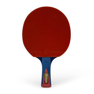picture Giant Dragon Nighthawk 4Star Ping Pong Racket