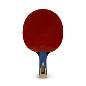 picture Giant Dragon Atak 3Star Ping Pong Racket
