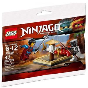picture Ninjago CRU Masters Training Grounds 30425 Lego